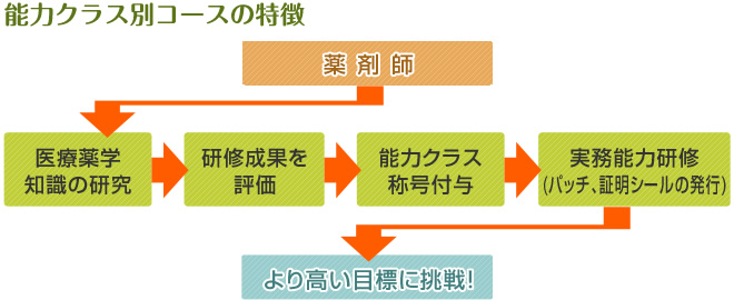 能力クラス別コースの特徴