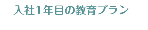 入社1年目の教育プラン